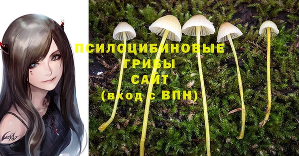 apvp Няндома