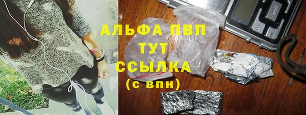 индика Бронницы