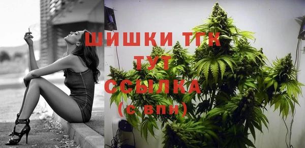 крисы Нягань