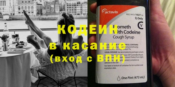 сатива Осинники
