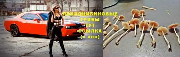 apvp Няндома