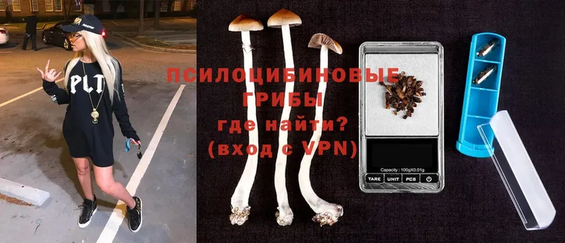 Псилоцибиновые грибы Psilocybe  купить наркотики цена  ссылка на мегу как зайти  Кумертау 