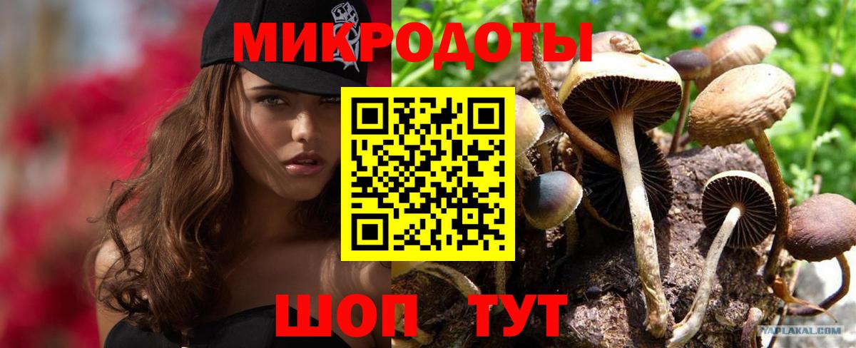 Галлюциногенные грибы мицелий  Галлюциногенные грибы Cubensis  Кумертау  Вход с VPN 